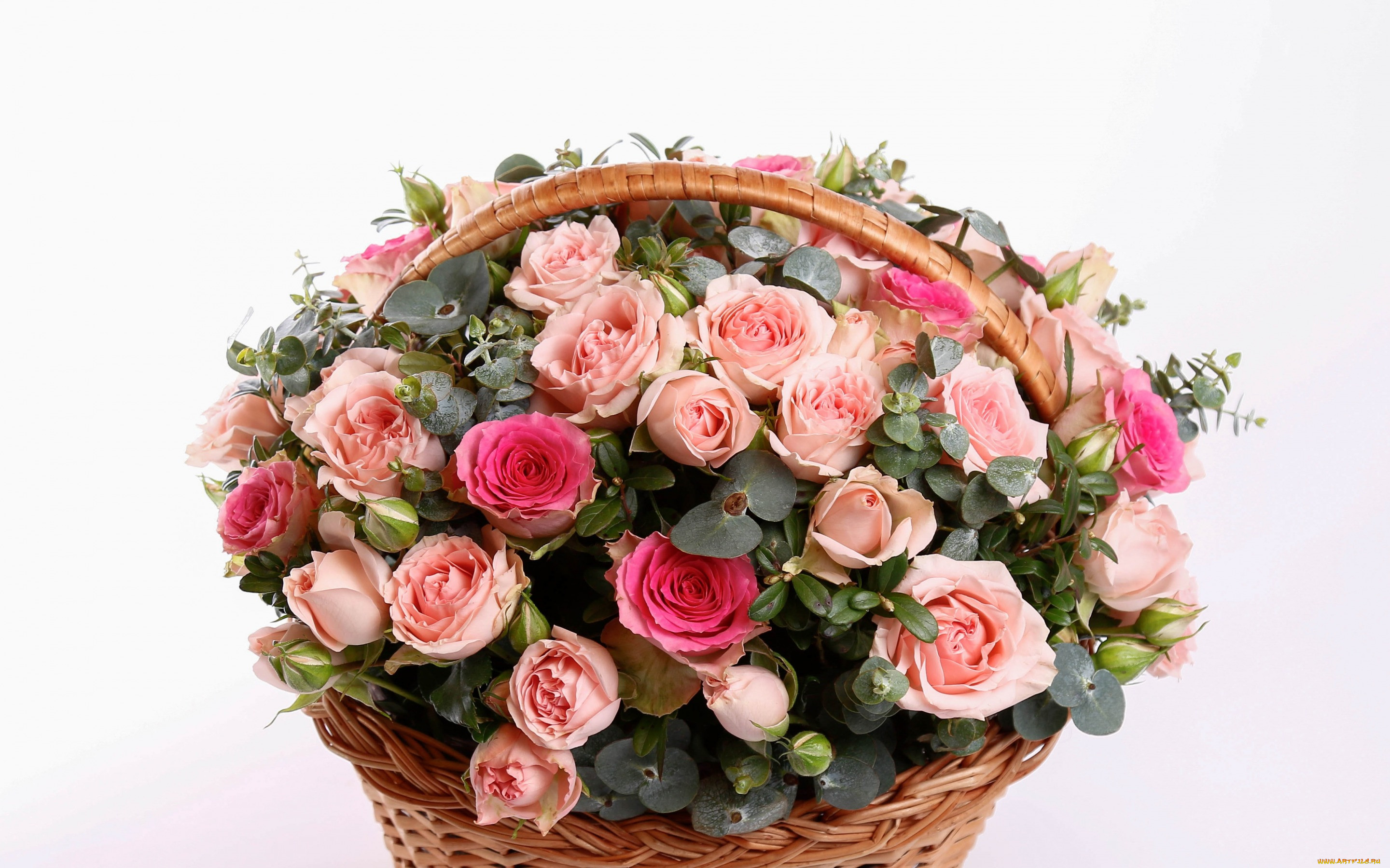 , , , , , basket